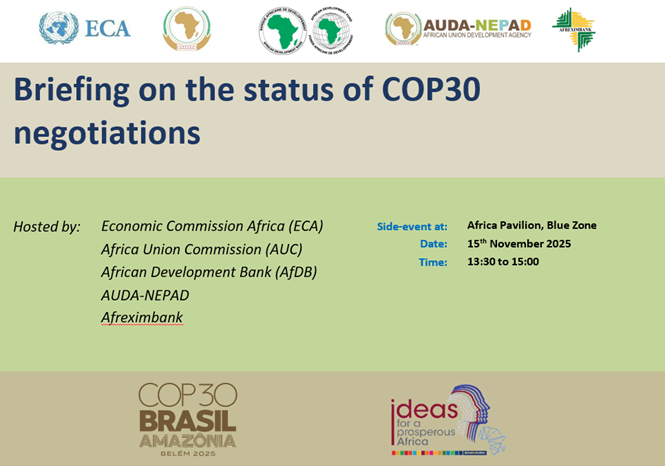 Briefing on the status of COP29