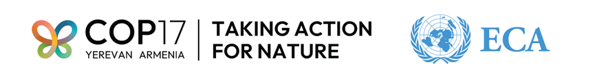 COP17 briefing partners logo