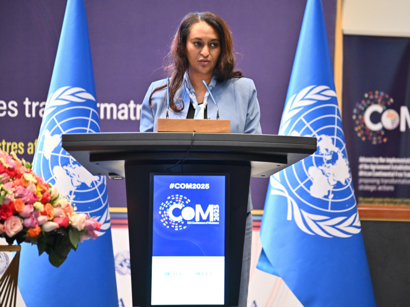 Welcoming Remarks by H.E. Semereta Sewasew, State Minister of Finance at the Committee of Experts of the Conference of African Ministers of Finance, Planning and Economic Development