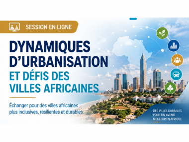 Webinaire - Dynamiques d'urbanisation et défis des villes africaines