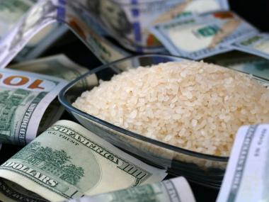 West Africa Business Linkages Platform (WABLP) Rice Value Chain Activation Programme