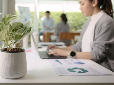 Atelier de renforcement des capacités sur les pratiques respectueuses de l’environnement