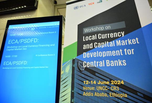 Workshop on Local currency and capital market development for Central Bankers