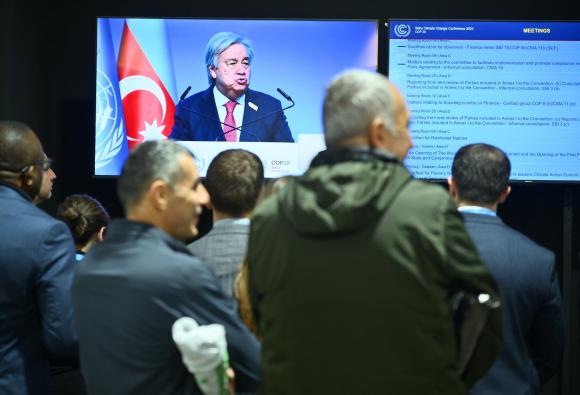 ECA at COP29 - 12 November 2024