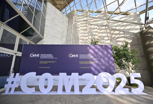 CoM 2025 en images - Ouverture de la quarante-troisième réunion du Comité d’experts – 12 mars 2025
