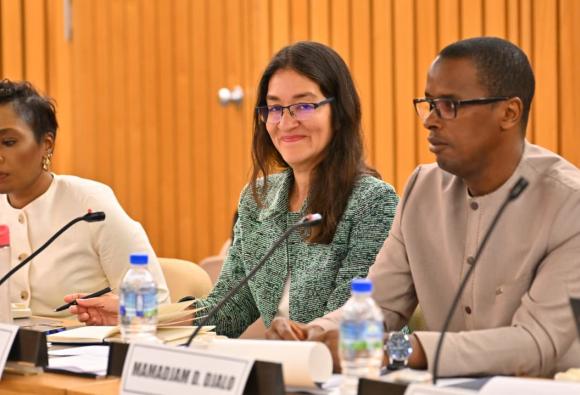 Standards and Norms for Successful SEZs in Africa: A pathway to derisking Investment and strengthening RVCs