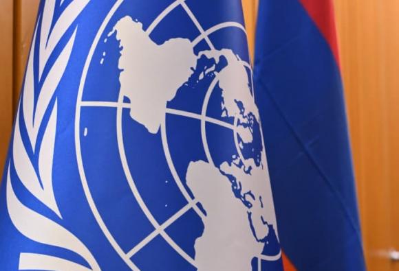 (Photos) Briefing by the CBD COP17 Armenian Presidency