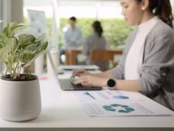 Atelier de renforcement des capacités sur les pratiques respectueuses de l’environnement