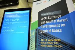 Workshop on Local currency and capital market development for Central Bankers