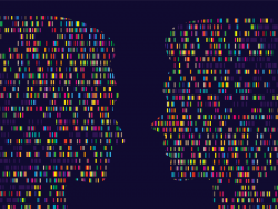 Africa unites to advance the rights and empowerment of women and girls through critical sound gender data