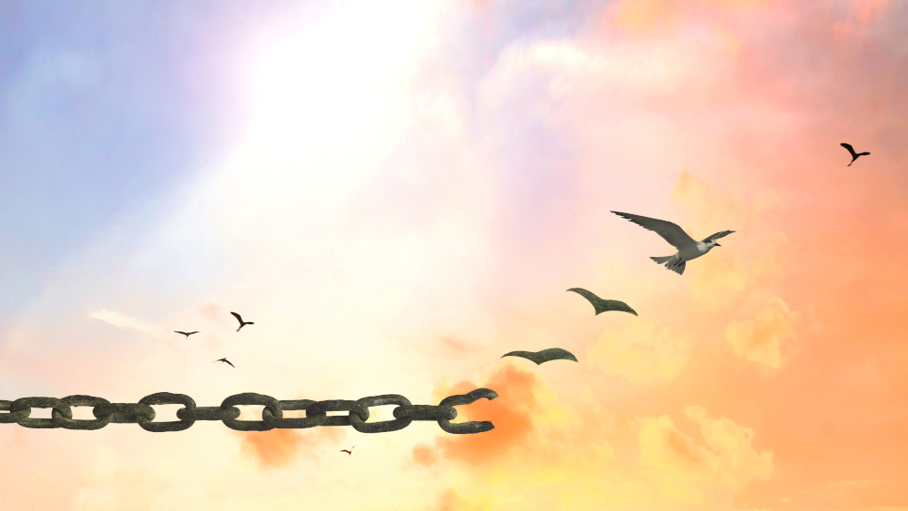 Reparations for Africans must transform the systems that still limit Africa’s future