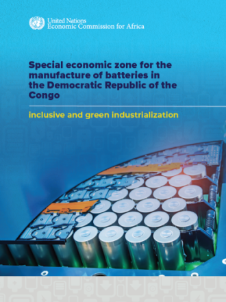 Special economic zone for the manufacture of batteries in the Democratic Republic of the Congo