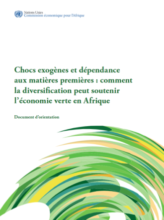 Chocs exogènes et dépendance aux matières premières : comment la diversification peut soutenir l’économie verte en Afrique