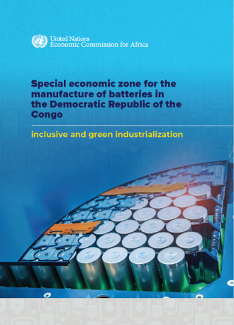 Special economic zone for the manufacture of batteries in the Democratic Republic of the Congo: Inclusive and green industrialization