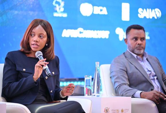 Day 2 - 2nd Africa Annual Conference on Credit Ratings
