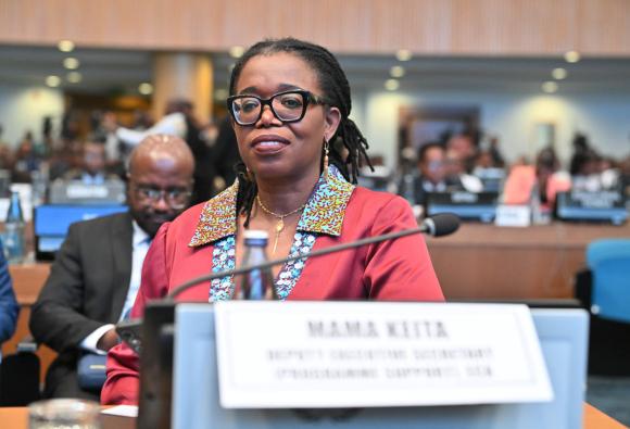 Twelfth Session of the Africa Regional Forum on Sustainable Development (ARFSD 12)