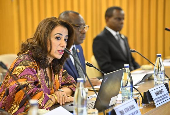 Meeting of the High-level working group on the global financial architecture