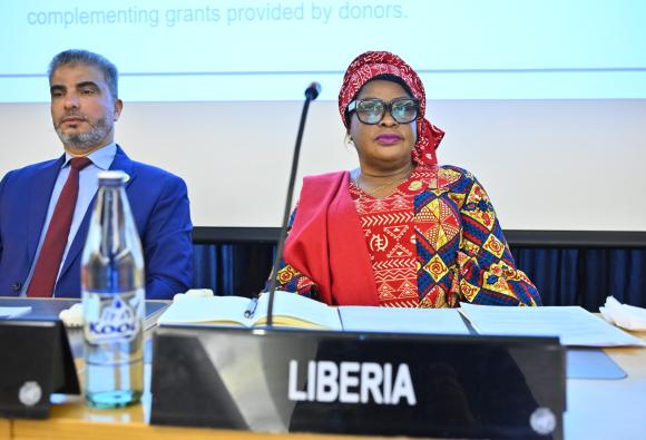 Meeting of the High-level working group on the global financial architecture