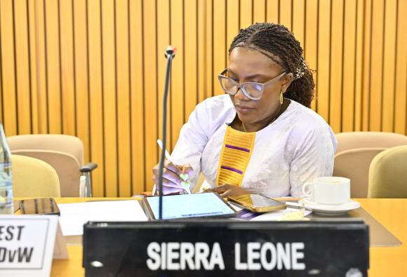 Meeting of the High-level working group on the global financial architecture