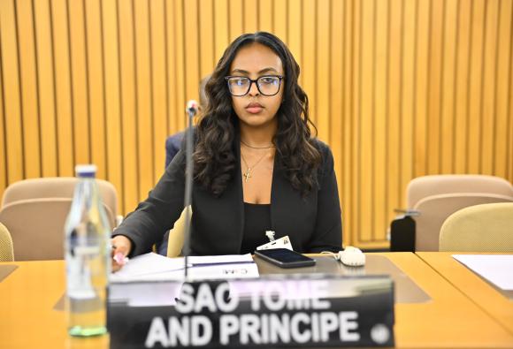 Meeting of the High-level working group on the global financial architecture