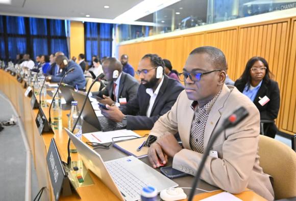 Africa Regional Consultation on the WSIS+20 Outcomes Implementation - Day 1