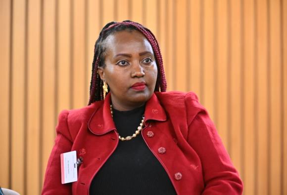 Africa Regional Consultation on the WSIS+20 Outcomes Implementation - Day 1