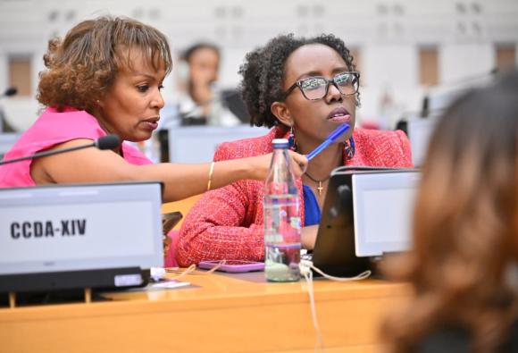 CCDA-XIV - Photos from Day 2
