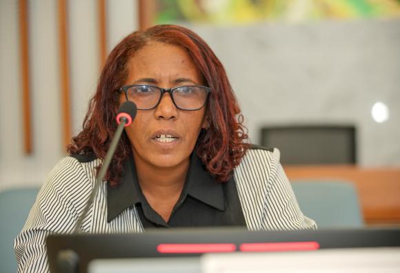 International Close-Out Conference on Measuring and Curbing Illicit Financial Flows (IFFs)