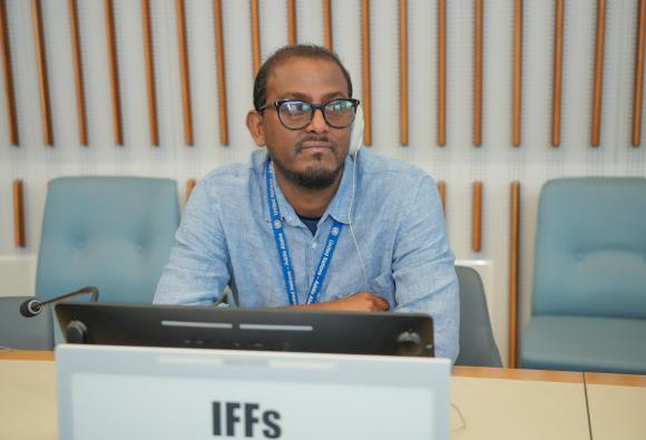 International Close-Out Conference on Measuring and Curbing Illicit Financial Flows (IFFs)