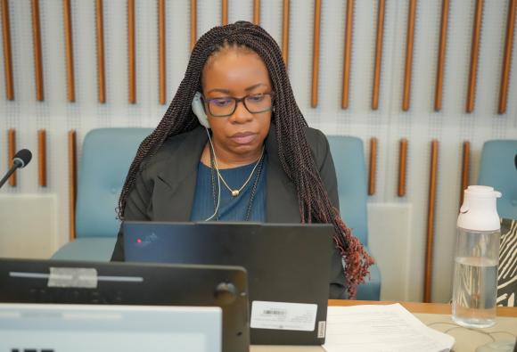 International Close-Out Conference on Measuring and Curbing Illicit Financial Flows (IFFs)