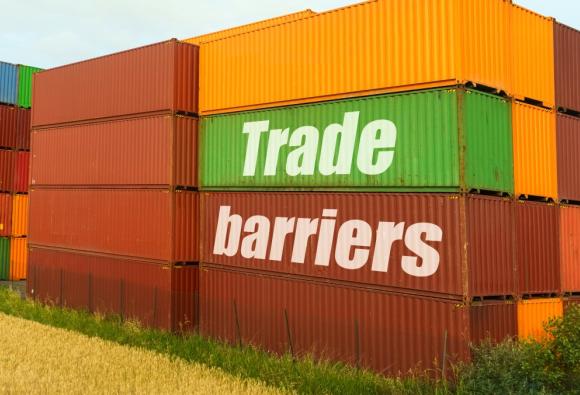 Mnangagwa calls for removal of trade barriers to unlock COMESA's US$1.23 trillion market