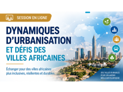 Webinar - Urbanization dynamics and challenges of African cities