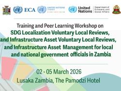 Training and Peer Learning Workshop on SDG Localisation, Voluntary Local Reviews (VLRs) and Infrastructure Asset Management