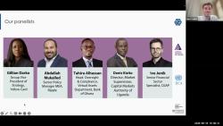 Embedded thumbnail for Tokenised Money and Stablecoins in Africa