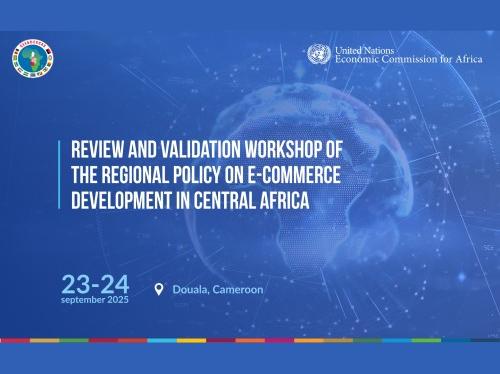 Review and validation workshop of the regional policy on E-commerce development in Central Africa