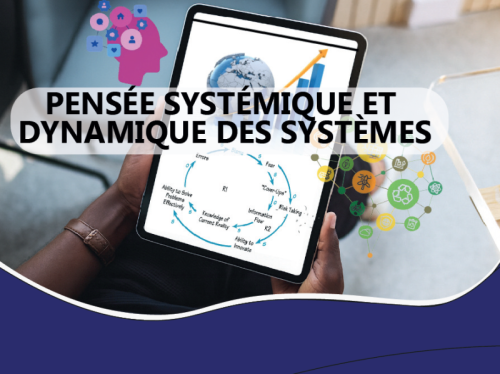Systems Thinking and System Dynamics