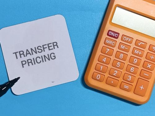 Technical assistance to strengthen the operational capacity of Niger’s Directorate General of Taxes on transfer pricing