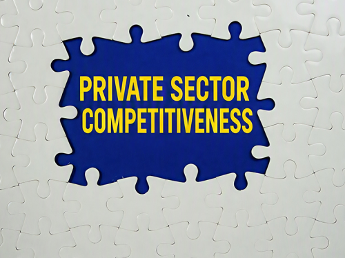 Central Africa must accelerate reform implementation to strengthen private sector competitiveness