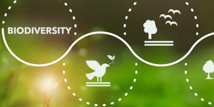 Armenia and ECA mark International Day for Biodiversity with a call for local action and global impact