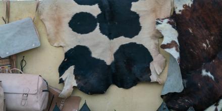 Eswatini validates joint procurement framework to unlock value in its leather sector