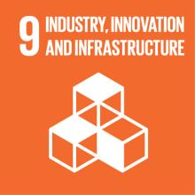 SDG 9