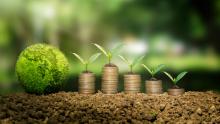 Guinea-Bissau launches RESIslands to strengthen climate resilience and prepare climate investment proposals