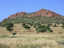 Kenya, UN ECA, AU-IBAR and IGAD launch national effort to build climate resilience in livestock, land and insurance systems