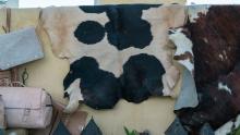 Eswatini validates joint procurement framework to unlock value in its leather sector
