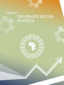 THE PRIVATE SECTOR IN AFRICA