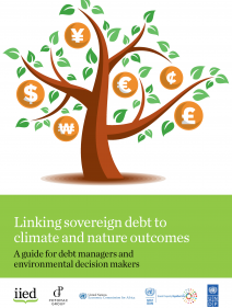 Linking sovereign debt to climate and nature outcomes