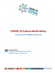 COVID-19 Crisis in North Africa: The Impact and Mitigation Responses