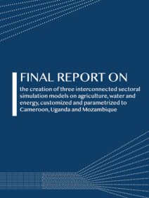 FINAL REPORT ON the creation of three interconnected sectoral simulation models on agriculture, water and energy, customized and parametrized to Cameroon, Uganda and Mozambique