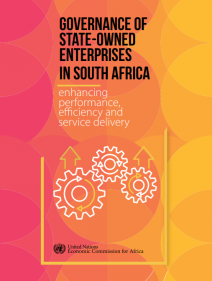 Governance of State-owned enterprises in South Africa: enhancing performance, efficiency and service delivery
