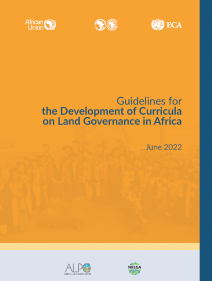 Guidelines for the development of curricula on land governance in Africa